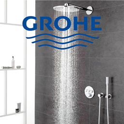 Show products in category Grohe Picture for category Grohe